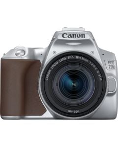 Canon EOS 250D DSLR Camera &amp; 18-55mm IS STM Lens (Silver) 
